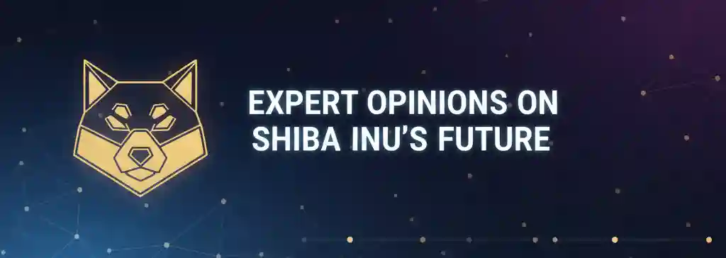 Expert Opinions on Shiba